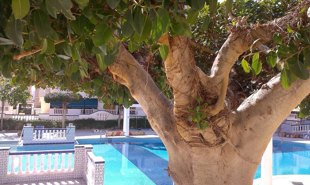 شقة La Mata Vinamar المظهر الخارجي الصورة